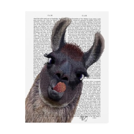 Fab Funky 'Silly Llama' Canvas Art,14x19